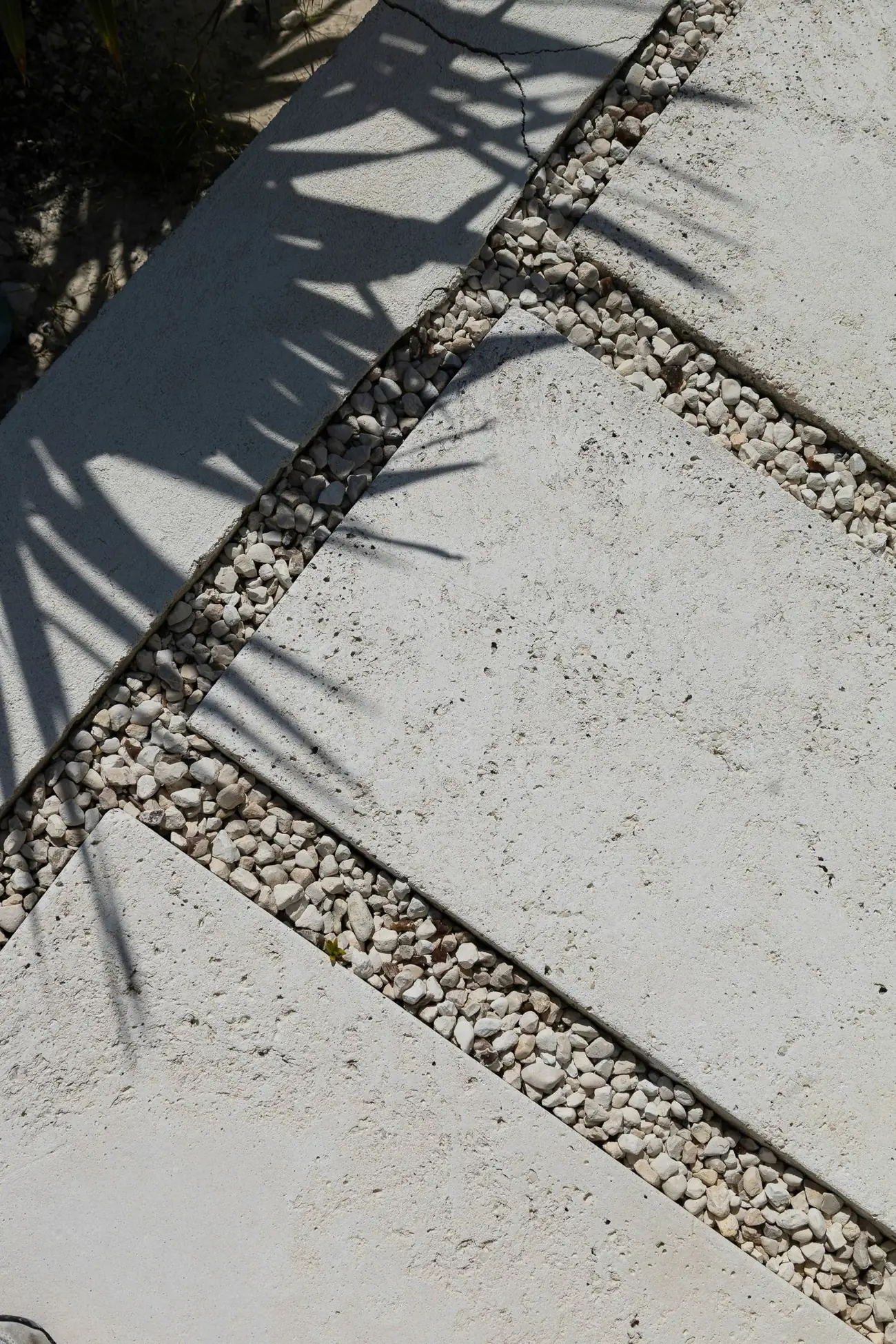Pale paving slabs with pebble joints and palm shadows